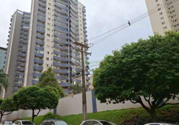 Apartamento com 4 quartos à venda na rua antônio pisicchio, palhano 2, londrina por r$ 1.500.000