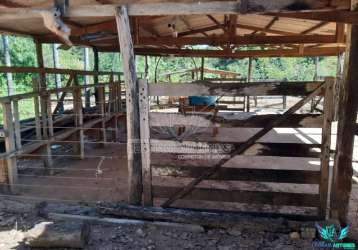 Fazenda para venda em caldas novas, fazenda caldas novas / morrinhos