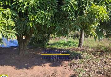 Sítio / chácara no jardim planalto em artur nogueira