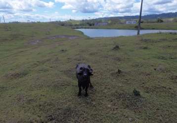 Rural - fazenda, para venda em ilhéus/ba