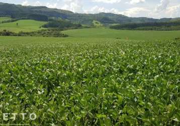 Venda de fazenda em piraí do sul - oportunidade imperdível!