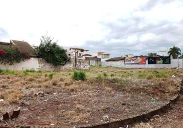 Lotes comerciais para locação na avenida professor joão fiúsa