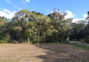 Terreno para venda em são josé dos pinhais, campo largo da roseira