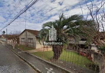 Terreno à venda, nova rússia, ponta grossa, pr