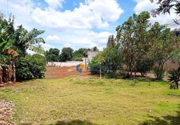 (aceita troca) terreno à venda, 980 m² por r$ 590.000 - vila morangueira - maringá/pr