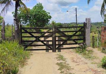 Terreno de 5.000m² à venda, com desmembramento de 60 lotes, localizado em paudalho - pernambuco.