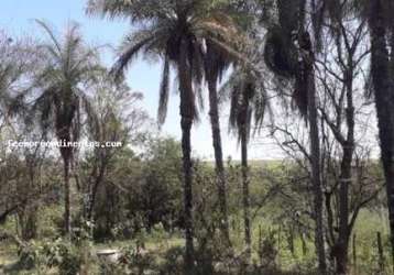 Sítio para venda em limeira, bairro dos lopes