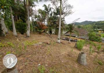 Terreno incrível localizado no bairro itoupava central, para você que busca um lugar para construir