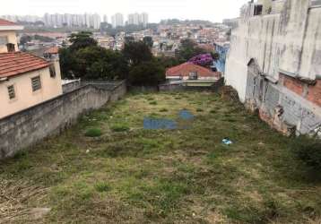 Terreno à venda, 600 m² - vila pereira barreto - são paulo/sp