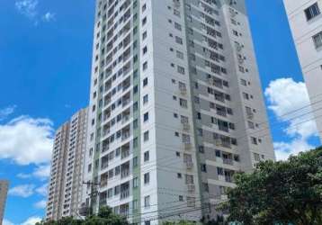 Apartamento para alugar, 66 m² por r$ 2.600,00/mês - aurora - londrina/pr