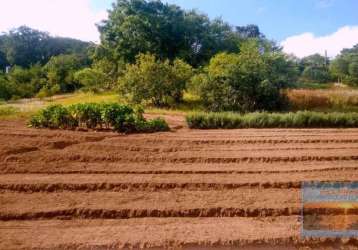 Atenção linda área de 12.335,90 m2 plana e plantada estudo carro e imovel no pagamento