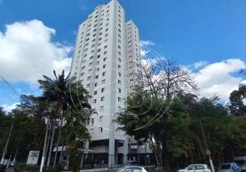 Apartamento para venda - granja julieta,