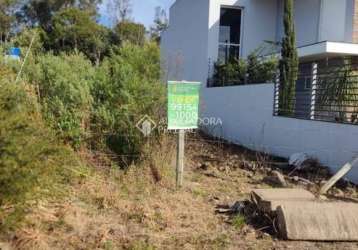 Terreno à venda na estrada municipal manoel pedrotti, 999, diamantino, caxias do sul, 330 m2 por r$ 169.600