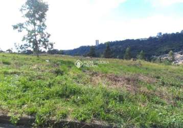 Terreno à venda na rua joão celli, 19, santa catarina, caxias do sul, 300 m2 por r$ 125.000