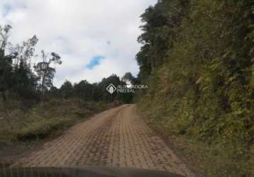 Terreno à venda na estrada br 116, 99, pedras brancas, são marcos, 10330 m2 por r$ 254.400