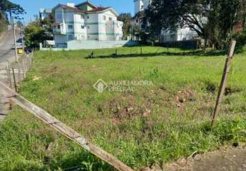 Terreno à venda na rua quintino bocaiúva, 999, petrópolis, caxias do sul, 390 m2 por r$ 550.000