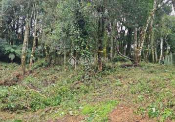 Terreno à venda na da avenca, 1, leodoro de azevedo, canela, 681 m2 por r$ 380.000