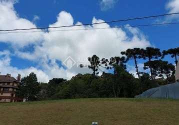 Terreno em condomínio fechado à venda na quadra k  lote 2, 2, centro, canela, 900 m2 por r$ 2.100.000