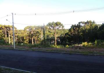 Terreno à venda na waldi kisch, 1, moura, gramado, 450 m2 por r$ 495.000