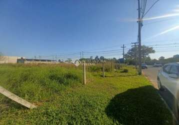 Terreno comercial para alugar na avenida açucena, 1, estância velha, canoas, 908 m2 por r$ 3.000