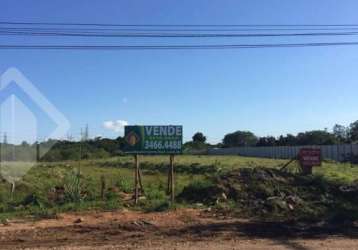 Terreno à venda na rua berto cirio, 3500, são luis, canoas, 10500 m2 por r$ 3.750.000