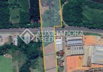 Terreno comercial à venda na rs 122, 1, zona rural, bom princípio, 38286 m2 por r$ 1.700.000