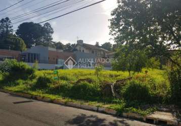 Terreno à venda na rua júlio birck, 362, vila nova, novo hamburgo, 704 m2 por r$ 550.000