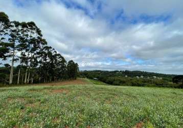 Terreno à venda na estrada costa gama, 2933, hípica, porto alegre, 98080 m2 por r$ 15.000.000