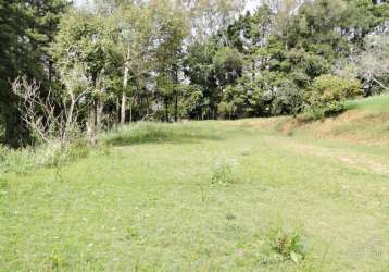 Terreno à venda cinto verde - uvaranas