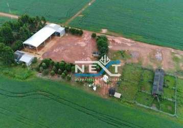 Fazenda à venda, 9810000 m² por r$ 26.000.000,00 - tijucal - cuiabá/mt