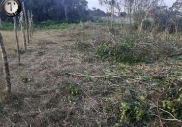 Terreno lote inteiro com 306,60 metros quadrados a venda itanhaém, são paulo, bairro luizamar mirim lado morro,