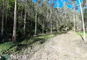 Chácara / sítio à venda no estrada das areias, indaial  por r$ 430.000