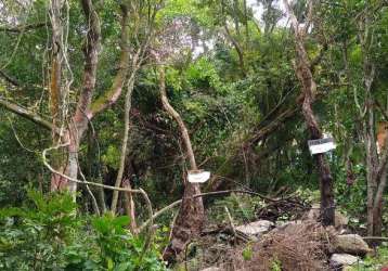 Terreno - praia da solidão - florianópolis - sc