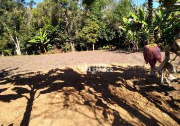 Terreno à venda, 1000 m² por r$ 310.000,00 - campo do coelho - nova friburgo/rj