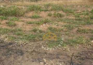 Terreno comercial à venda, jardim do lago ii, campinas - te2843.