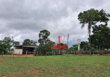 Fazenda à venda em anhandiu próximo à campo grande no ms. com 127,3 hectares, toda em pasto. mangueira, casa sede simples, com 19,72 hectares de reser