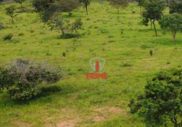 Fazenda à venda no alto do araguaia no mato grosso. com 780 hectares com 35% de reserva, 65% de pastagem, escriturada, montada na pecuária, casa sede,