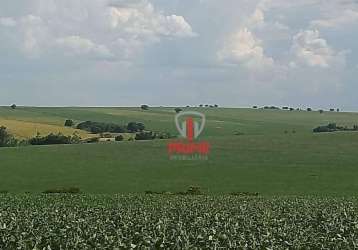 Fazenda à venda na região de maringá no paraná. com 100 alqueires, 80 alqueires de plantio, 10 alqueires de pasto, com benfeitorias, 60 km de londrina