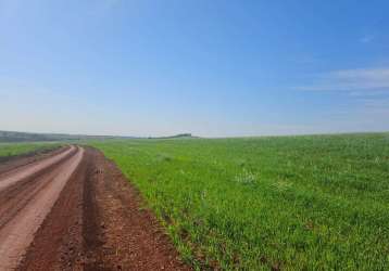 Fazenda à venda em cornélio procópio no paraná. com 105 alqueires, 85 plantado, 2 alqueires de horta, 3 alqueires pasto. valor r$32.000.000,00  r$12.0