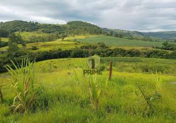 Sítio à venda em tamarana no paraná. com 10 alqueires sendo 5 alqueires de plantio, 4 alqueires de pasto. curral novo, galinheiro, duas represas, poço