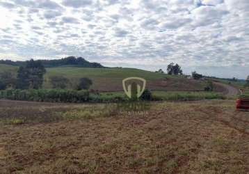 Fazenda à venda em são miguel do oeste em santa catarina.  com 530 alqueires, sendo 6 matrículas, 130 alqueires de plantio hoje e abre mais 80 à 100 a