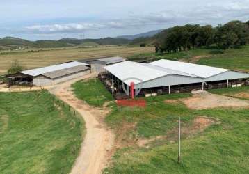 Fazenda à venda em canelinha em santa catarina. com 871 hectares à 70 km de florianopolis, venda de porteira fechada. casa sede e mais 4 casas para fu