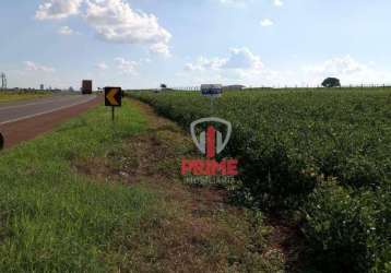 Terreno à venda em cambé. industrial bem localizado, próximo a sandoz, testada 190 metros. acesso duplo pela br e pela estrada municipal.