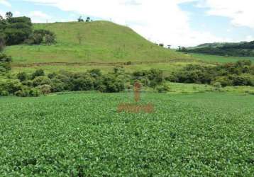 Fazenda à venda em apucarana no paraná. com 116,5 alqueires paulista sendo 65 alqueires em soja, 46,5 alqueires de pasto colonial, 5 alqueires de rese