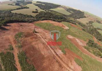 Sítio à venda em maua da serra no paraná. terra roxa, plantando 31 alqueires.