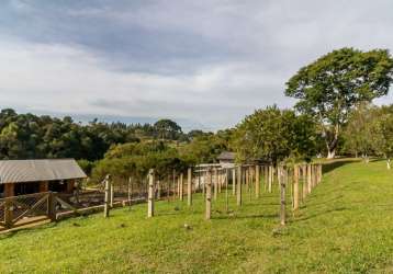 Chácara / sítio com 2 quartos à venda na hermes candido de sa, 115, colônia marcelino, são josé dos pinhais por r$ 1.150.000