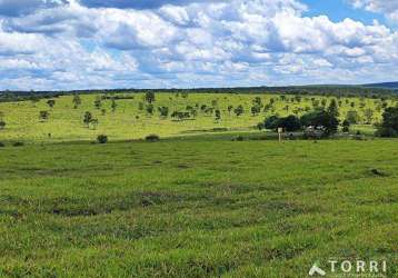 Fazenda à venda no município de bofete - sp