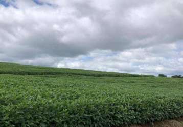 Fazenda a venda na região de itapetininga