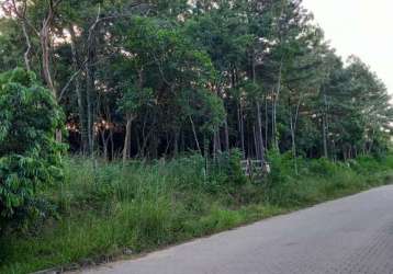 Terreno à venda na rua alberto adolpho fruchtenicht, 9, campestre, são leopoldo por r$ 134.000