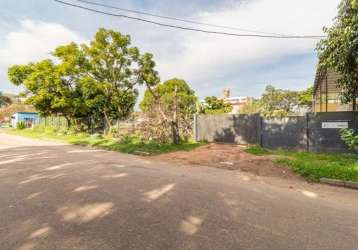 Terreno comercial para alugar no nonoai, porto alegre , 1454 m2 por r$ 5.000